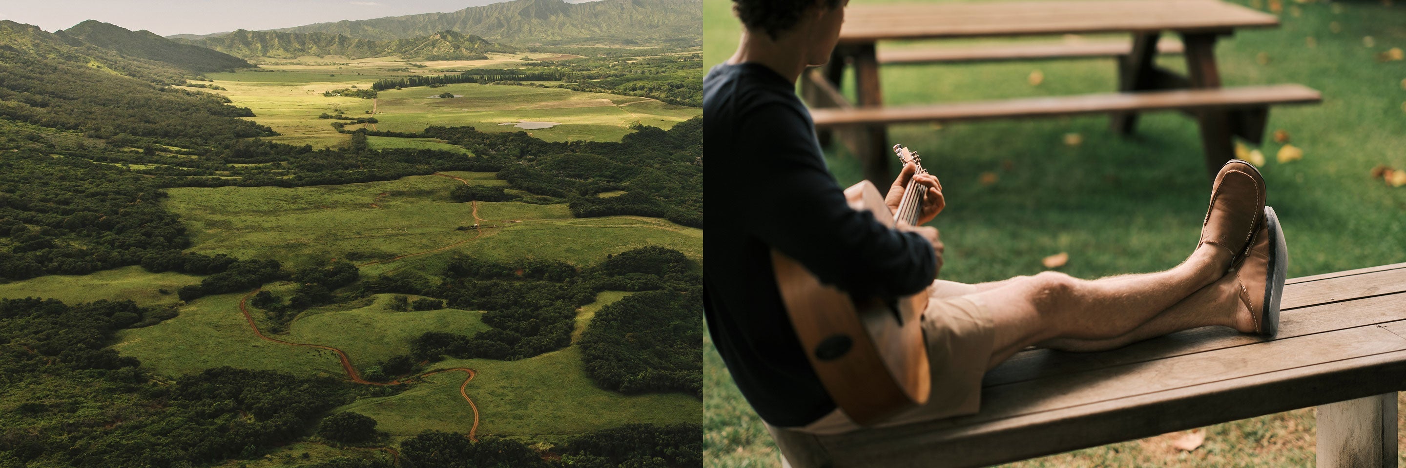 fallback text for an image